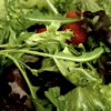 Italian Rocket Salad